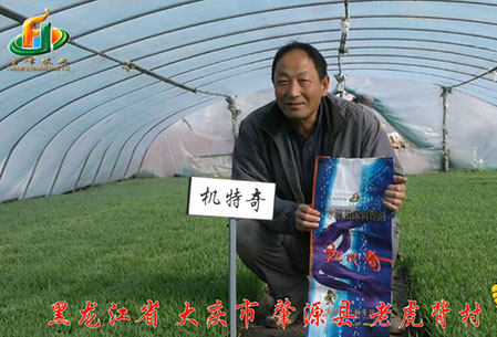 大(da)慶-肇源(yuan)縣-用(yong)戶迴(hui)訪(fang)視(shi)頻