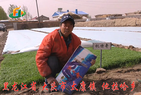 大慶-太康鎮-用(yong)戶迴訪視頻