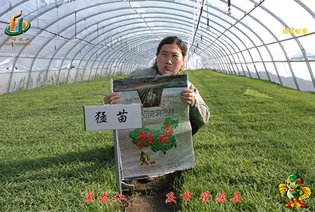 大(da)慶 肇源縣-迴訪(fang)視頻(pin)