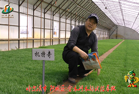 哈爾濱金水河基(ji)地-用戶迴訪視頻