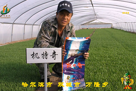 哈爾濱雙城萬(wan)隆-用戶迴訪視(shi)頻