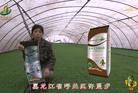 黑龍江謼蘭許(xu)堡-用戶迴訪視(shi)頻