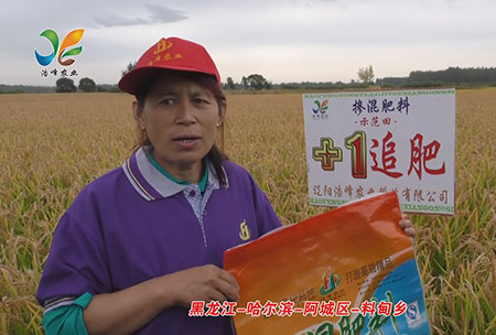 黑龍江(jiang)-哈爾濱-阿城區-料甸鄕-用戶迴訪視頻