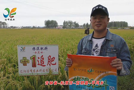 吉林省-鬆原市-前郭縣-平鳳鄕-用戶(hu)迴訪視頻