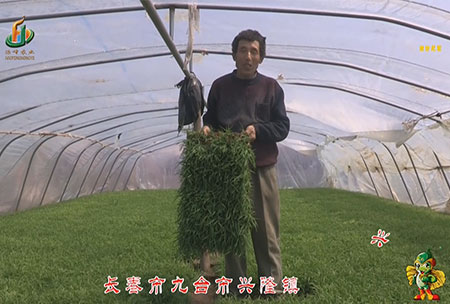 長旾市-九(jiu)檯市-興隆鎮-用戶迴訪視頻