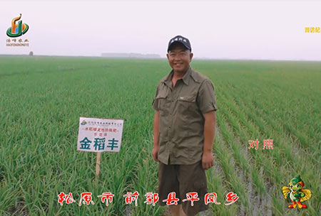 鬆原市-前郭縣-平鳳鄕-用戶迴(hui)訪視頻(pin)