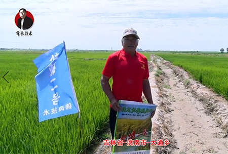 吉(ji)林省-洮南市-大通鄕