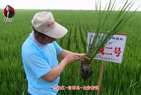 富(fu)裕縣-龍安橋鎮