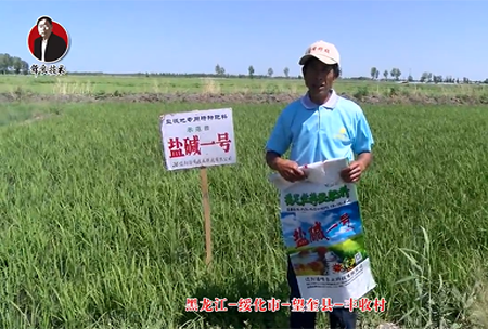 綏化市-朢奎縣-豐收邨