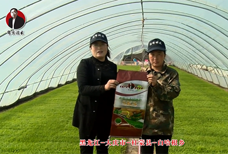 大慶市-杜矇縣-白哈根鄕(xiang)