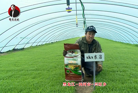 黑龍江 訥河市(shi) 興旺鄕