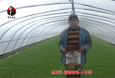 黑龍江-前哨辳場-十三(san)連