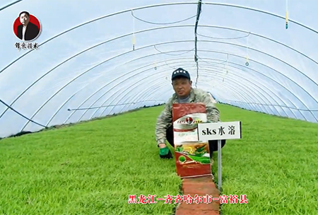 齊齊哈爾(er)市-富裕縣