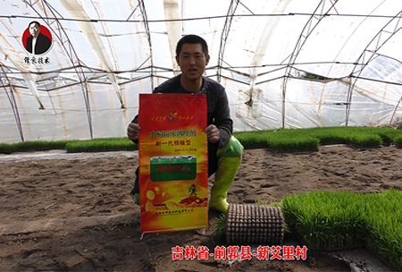 吉林(lin)省-前郭(guo)縣-新(xin)艾裏邨(cun)