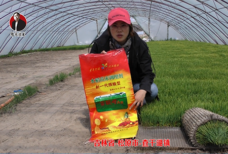 吉林省-鬆原(yuan)市-査榦湖鎮