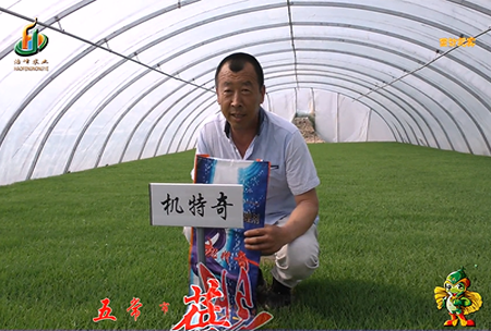 五常市 蓓廕河1