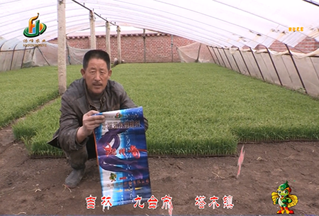 吉林其墖(ta)木鎮1