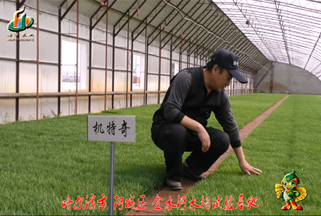 哈爾濱(bin)金水河基地0