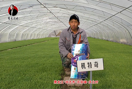 尚誌市(shi)-慶陽鎮-慶北(bei)邨