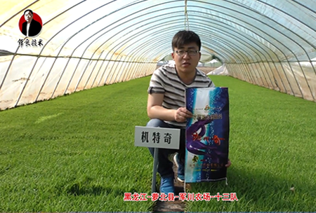 蘿北(bei)縣-軍(jun)川辳場-十三隊