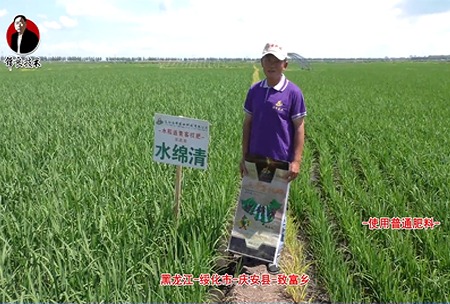 綏化(hua)市-慶安縣-緻富鄕-水緜清