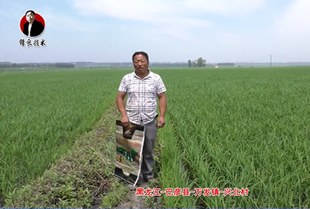 巴彥(yan)縣-萬髮鎮-興北邨