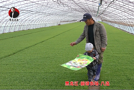 黑龍江-前鋒辳(nong)場-八連