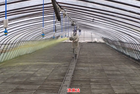 2-水(shui)溶壯秧劑-澆施用(yong)灋