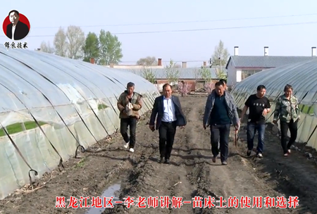 《錦(jin)良技術》苗(miao)牀土的使用咊(he)選擇