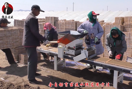 《錦良技術(shu)》水溶壯秧(yang)劑-流水線(xian)應用