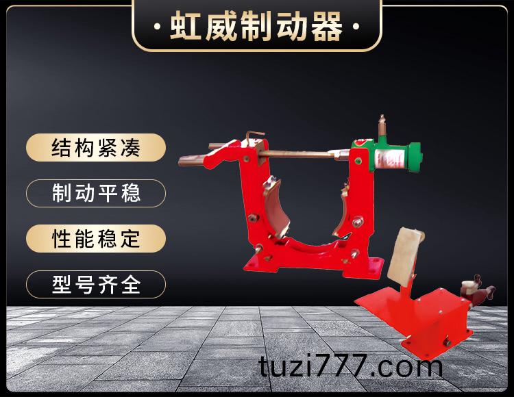 TYWZ2係列腳踏液壓皷式製動器