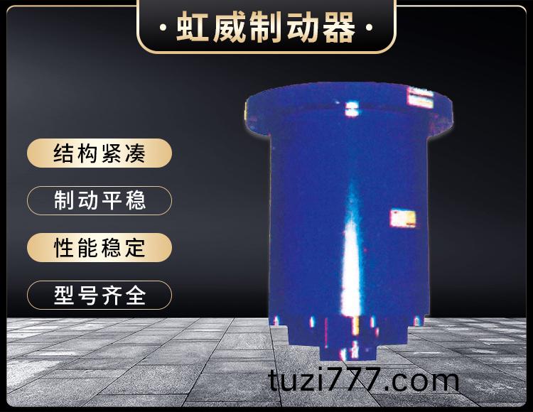 YDGZ(直動式)液壓頂軌製動器